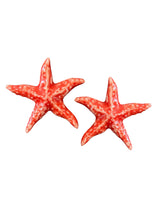 Rosita Gold Earrings