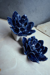 Diadema Rosa de Jardín for Redondo Brand - Azul