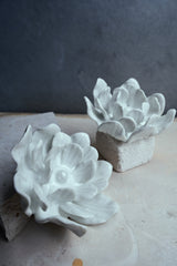 Diadema Rosa de Jardín for Redondo Brand - Blanca