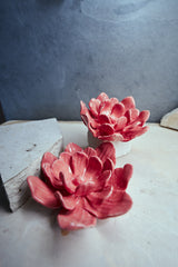 Diadema Rosa de Jardín for Redondo Brand - Rosa
