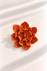 Rosa de Jardín for Redondo Brand - Naranja