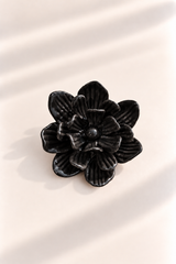 Rosa de Jardín for Redondo Brand - Negro