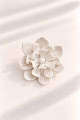 Rosa de Jardín for Redondo Brand - Blanco