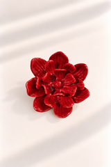Rosa de Jardín for Redondo Brand - Rojo