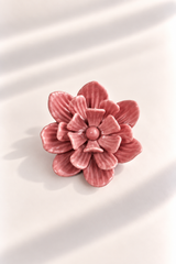 Rosa de Jardín for Redondo Brand - Rosa